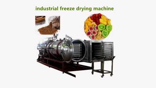 Food Milk Vacuum Freeze Drying Equipment for Sale